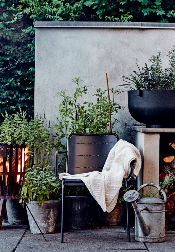 terrasse55